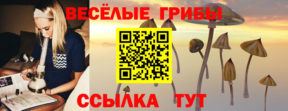Луховицы  Галлюциногенные грибы Psilocybine cubensis  Вход с VPN  Псилоцибиновые грибы GOLDEN TEACHER 